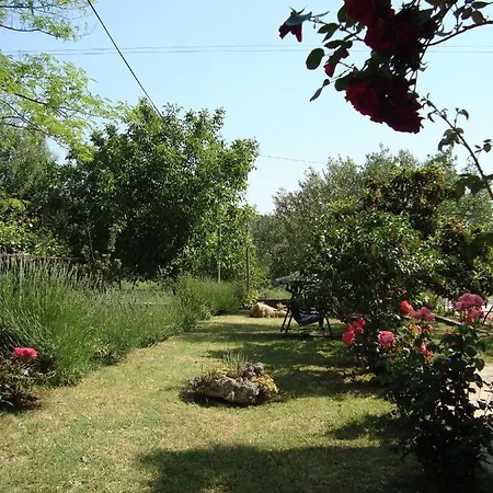 For Families With Children Pasman - 14788 アパート Mali Pašman