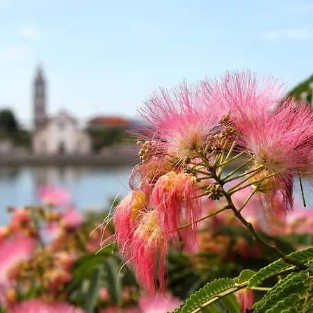 For Families With Children Pasman - 14788